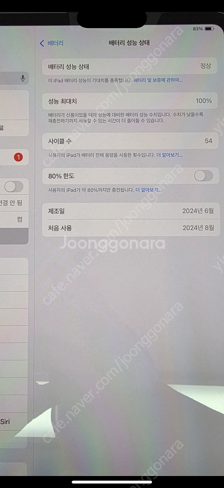 아이패드프로 m4 11 256 실버+ 팬슬프로--1