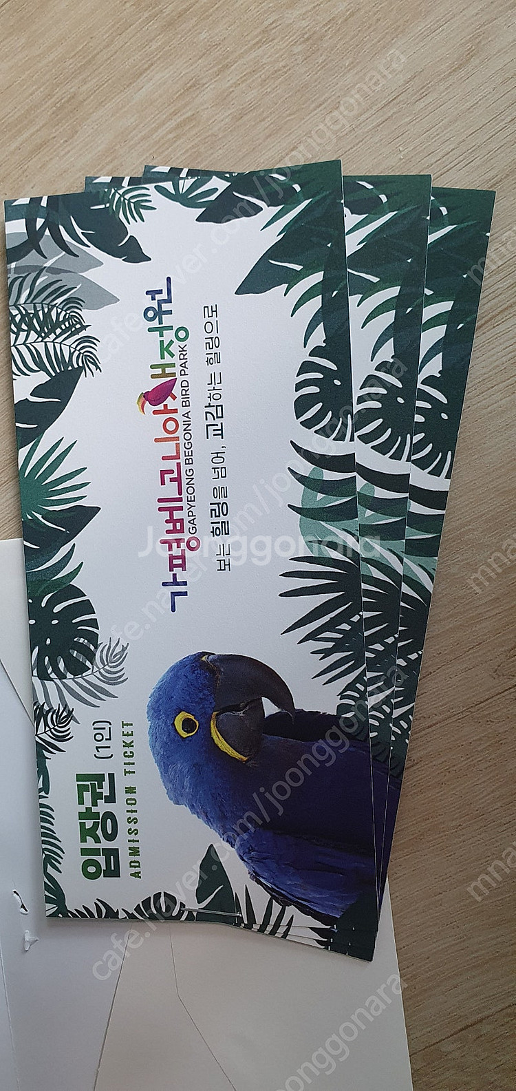 가평 베고니아 새정원 화조원 입장권 4매 팝니다--0