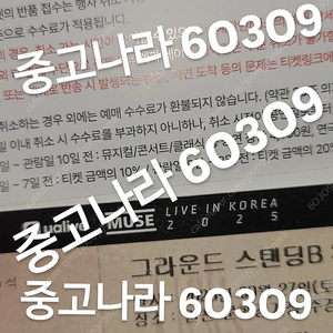 !!급처 명당 안전결제!! 뮤즈 콘서트 스탠딩 티켓 양도 당일발송