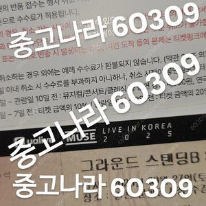 !!급처 명당 안전결제!! 뮤즈 콘서트 스탠딩 티켓 양도 당일발송