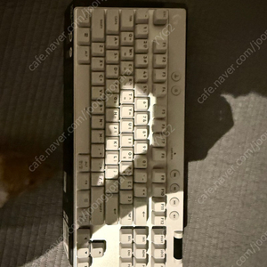 로지텍 g pro x rapid