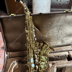 소프라노색소폰(곡관) 판매힙니다