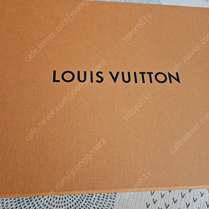 루이비통 브리프케이스(가격내림)