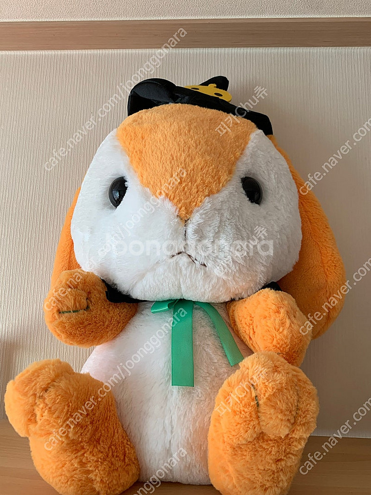 어뮤즈 토끼인형 할로윈한정 빅사이즈 일본 정품 어뮤즈 토끼 롯삐 우사기--0