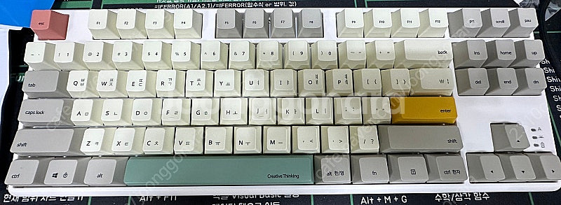 씽크웨이 tauche.t 301 토체티301 컬러블럭 ...--1
