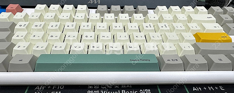 씽크웨이 tauche.t 301 토체티301 컬러블럭 ...--2