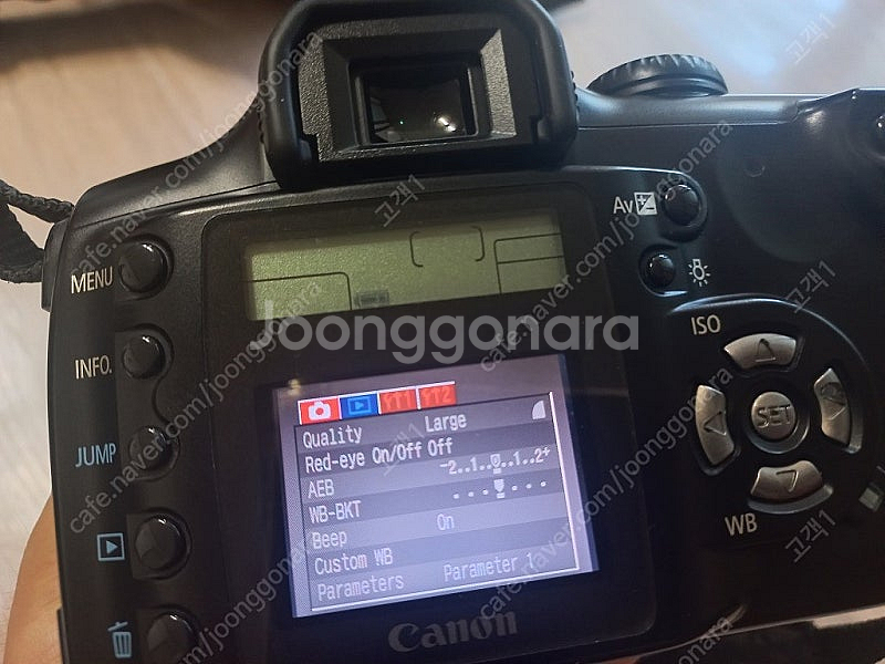 캐논 DSLR 카메라 Canon 300D--9