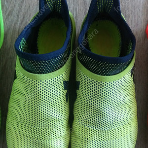 아디다스 엑스 퓨어스피드 245mm