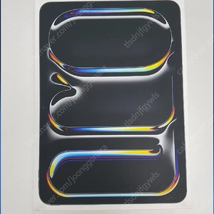 아이패드 프로11 M4 1TB 셀룰러 나노텍스쳐 글라스