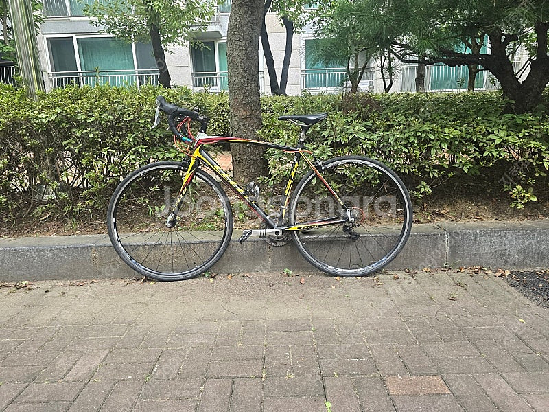 첼로 솔레이어 풀105( 구형105 10단 ) 510사...--0