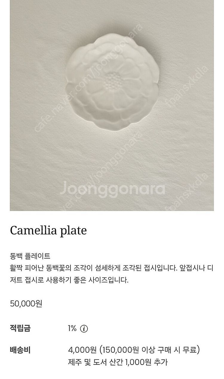 코흐 오브제 접시 및 오브제 새상품--5