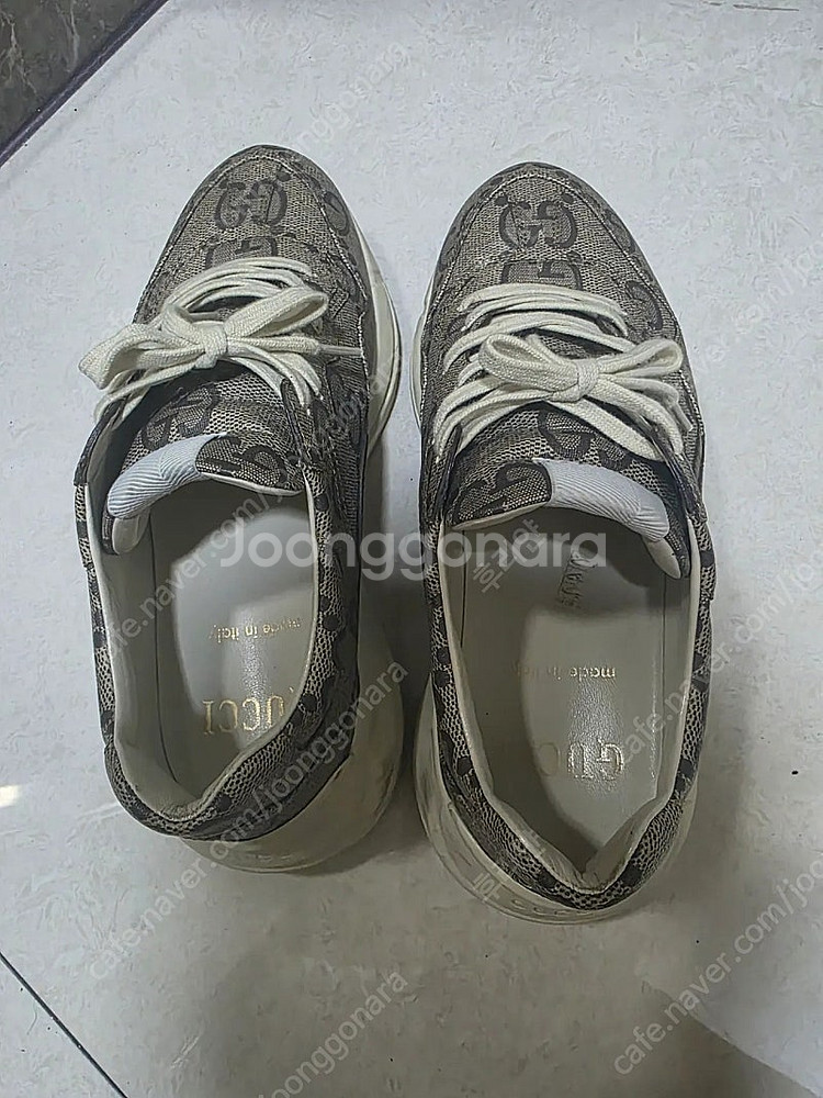 [270] 구찌 라이톤 100주년--1