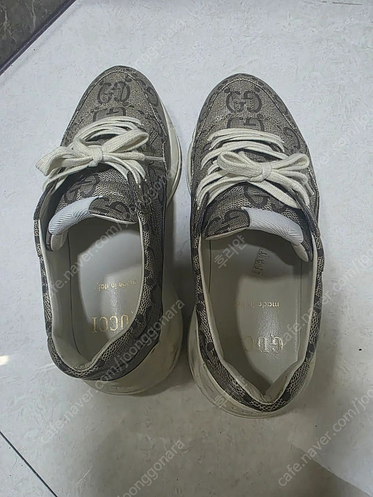 [270] 구찌 라이톤 100주년--1