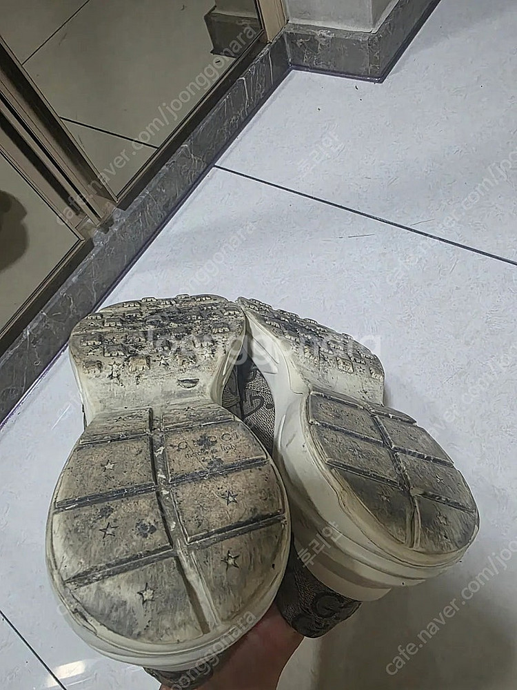 [270] 구찌 라이톤 100주년--2