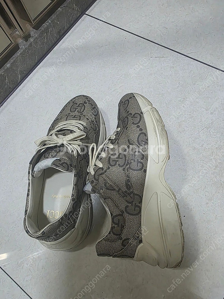 [270] 구찌 라이톤 100주년--3