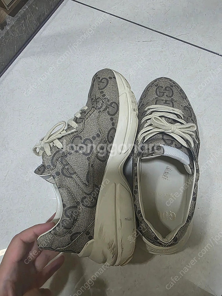 [270] 구찌 라이톤 100주년--4