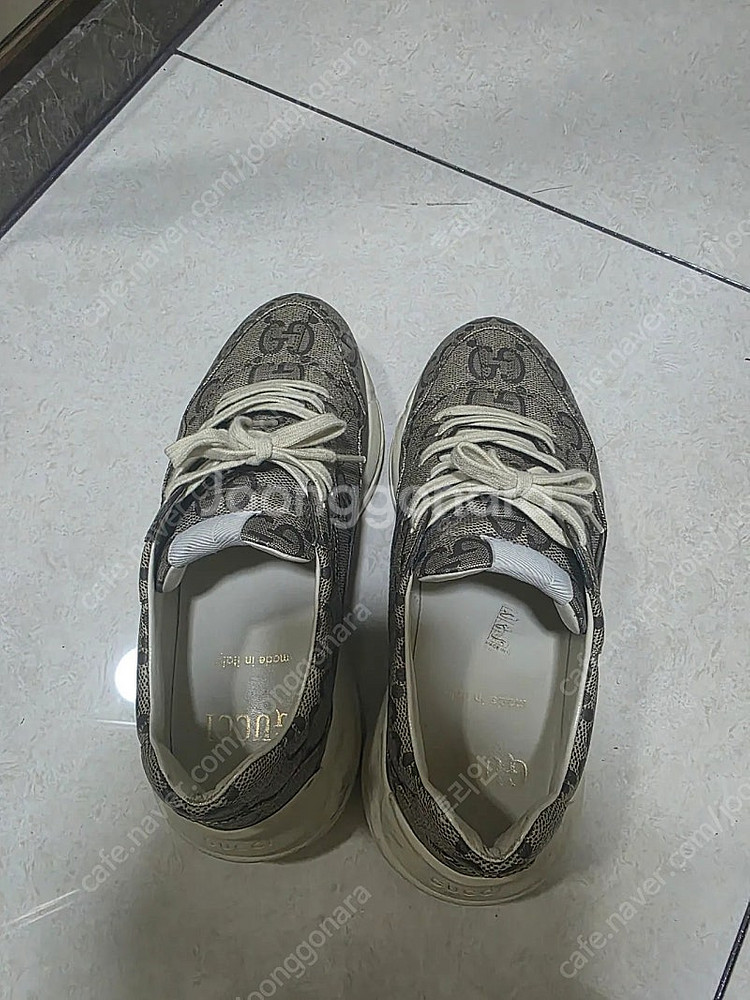 [270] 구찌 라이톤 100주년--5