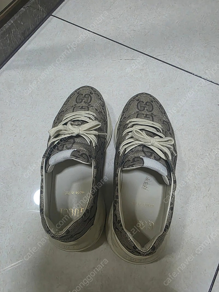 [270] 구찌 라이톤 100주년--5