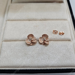 디디에두보 14K 라디디 골드 귀걸이 2개 (한쌍) JDDEN5S034S