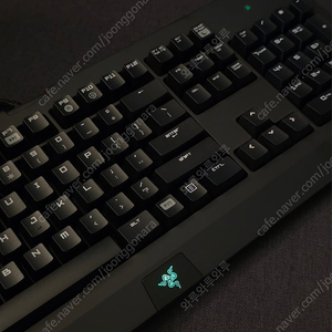 레이저 블랙위도우 2014 새제품 판매