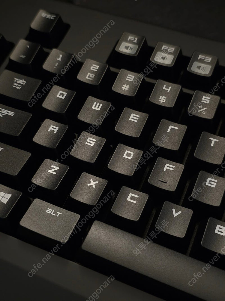 레이저 블랙위도우 2014 새제품 판매--5