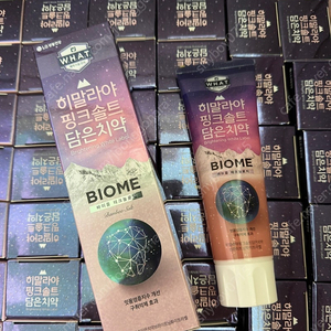 LG 히말라야 핑크솔트 바이옴 치약 100g 20개