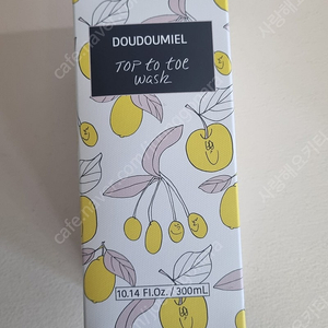 두두미엘 탑투토 워시