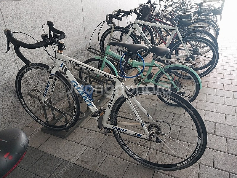 자이언트 SCR 로드자전거--0