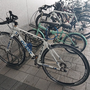 자이언트 SCR 로드자전거