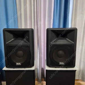 Real R12 스피커