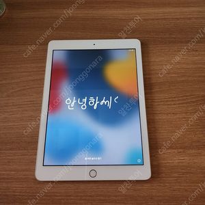 아이패드 기본형 6세대 32gb wifi 골드