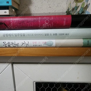 알랭드보통