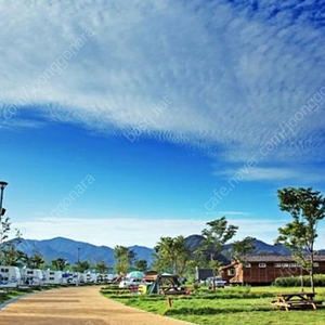 자라섬 재즈페스티벌기간 사이트,카라반 삽니다