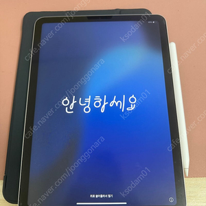 아이패드 에어 5세대 64기가 와이파이+애펜2