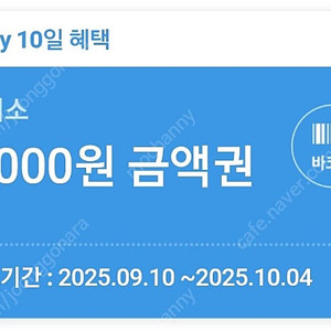 다이소 직영점용 5,000원 금액권