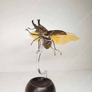 생물대도감 로젠버기 사슴벌레 소똥구리 피규어