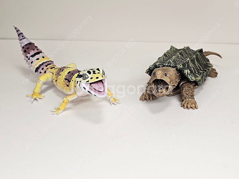 생물대도감 악어거북 레오파드게코 도마뱀 어드밴스--2