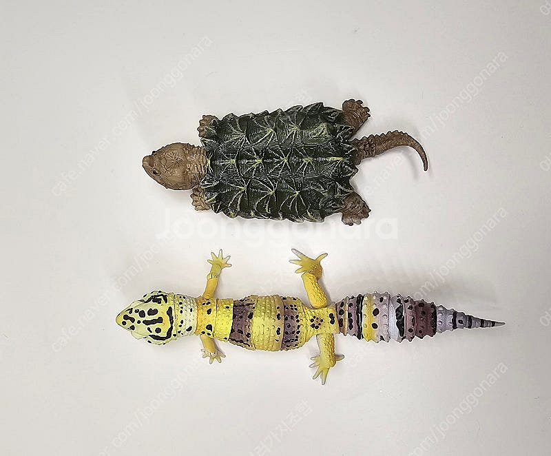 생물대도감 악어거북 레오파드게코 도마뱀 어드밴스--3