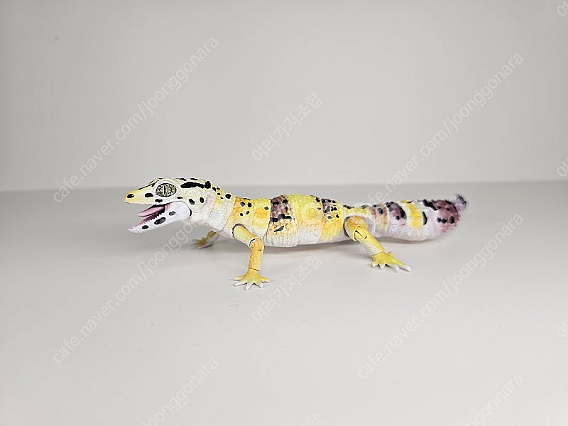 생물대도감 악어거북 레오파드게코 도마뱀 어드밴스--6