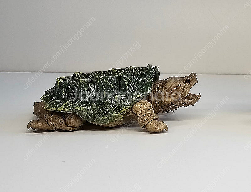 생물대도감 악어거북 레오파드게코 도마뱀 어드밴스--8