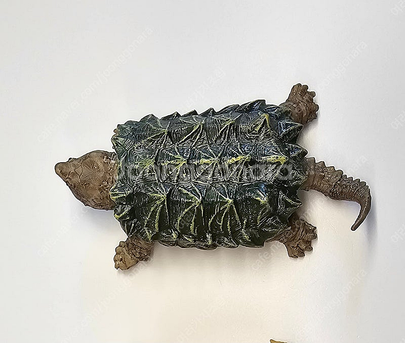 생물대도감 악어거북 레오파드게코 도마뱀 어드밴스--9