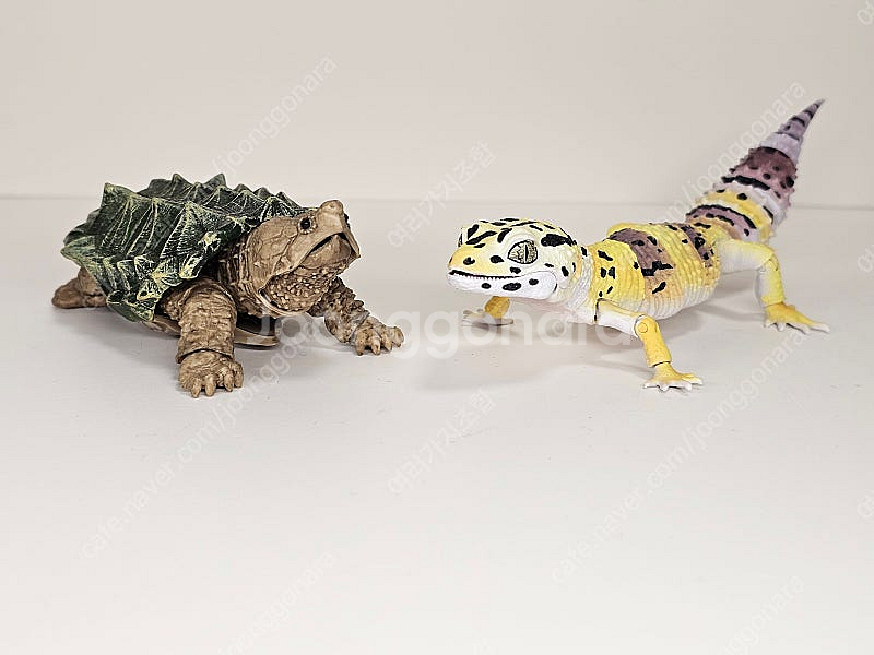 생물대도감 악어거북 레오파드게코 도마뱀 어드밴스--0