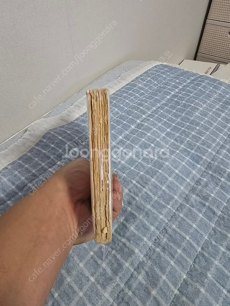 희귀레어만화)토리야마아키라 도리야마아키라 콜렉션 조산명...--5
