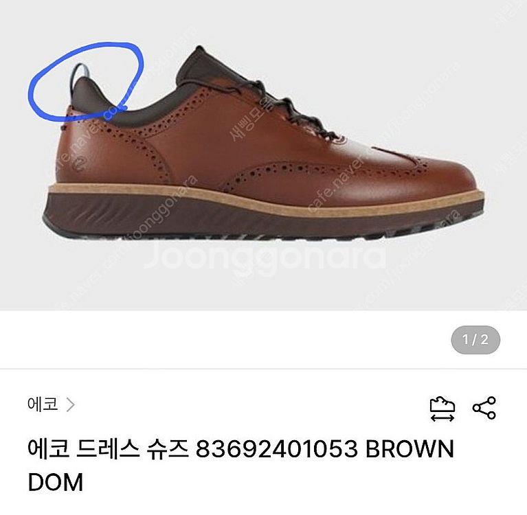 에코 남성구두 255 하이브리드 ST.1 윙팁 SD79--9