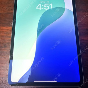 iPad Pro 실버 11인치 M4 셀룰러 256gb 애플케어 가입가능