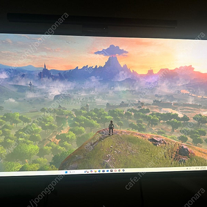 MSI MAG 321UPX QD-OLED 240 4K UHD 올레드 모니터 판매합니다.