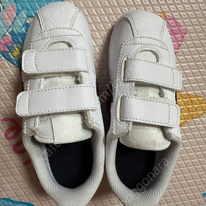 나이키 코르테즈 신발 170