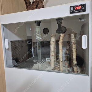 2자광폭 포맥스 자온조 사육장 팝니다