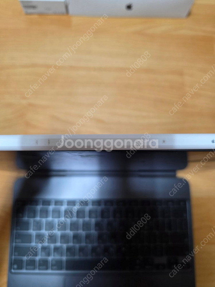 아이패드 프로 13인치 M4, 셀룰러, 1TB, 애케플...--4