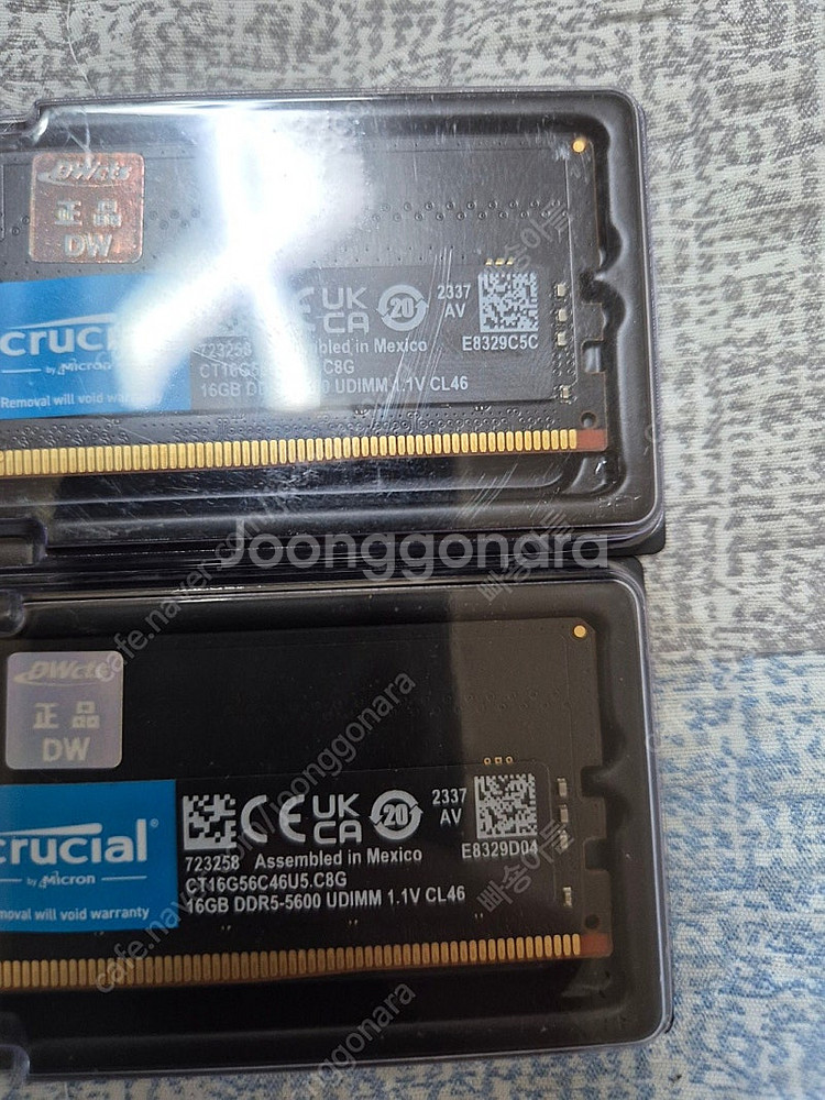 마이크론 5600 32gb cl46--0